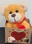 ORSETTO I LOVE YOU IN PELUCHE CON CUORE IN BORSETTA DI CARTA
